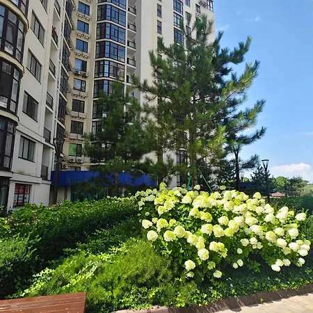 вид на море золотой берег Apartament
